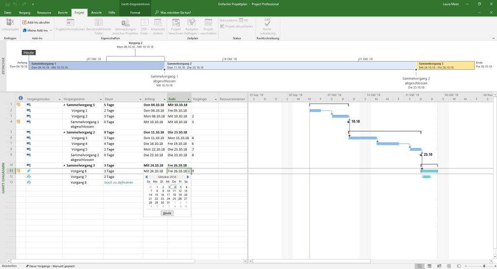 Project 2021 Professional - Software-Dealz.de