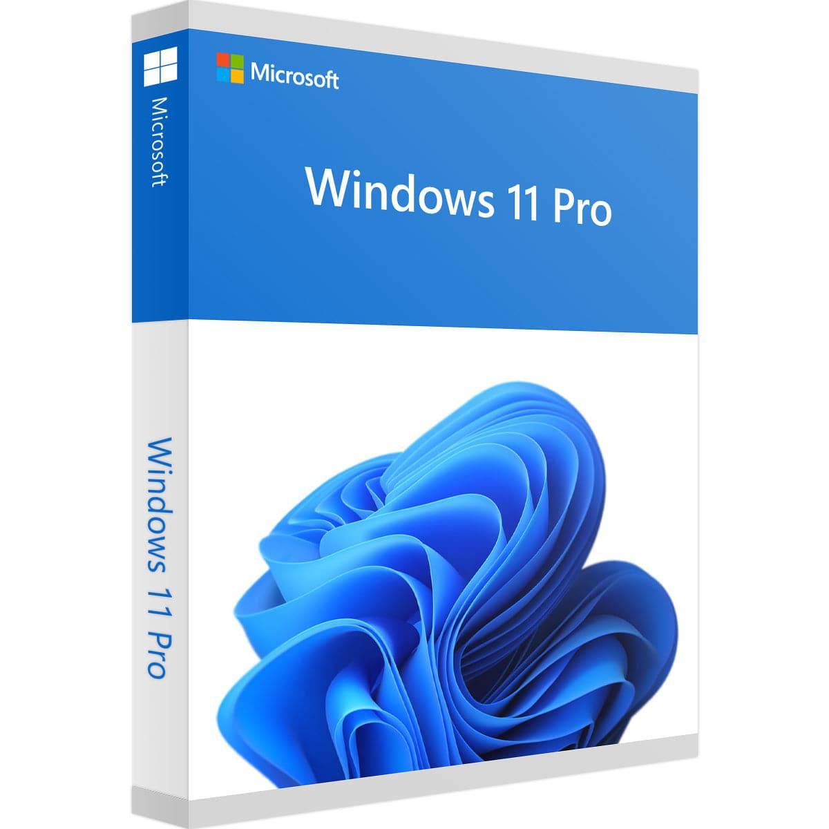 windows 11 professional kaufen lizenz