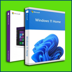 windows 10 pro and 11 home