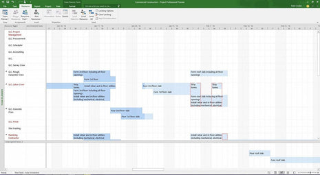 Project 2021 Professional - Software-Dealz.de